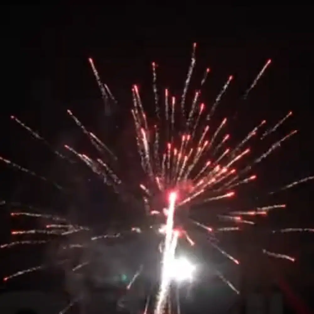 Compact d'artifice PRO F3 Palmier Traçant 30mm XXL grosse explosion