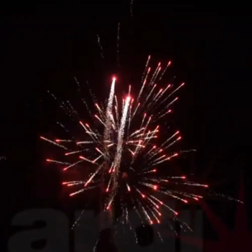 Compact d'artifice PRO F3 Palmier Traçant 30mm XXL rouge passion
