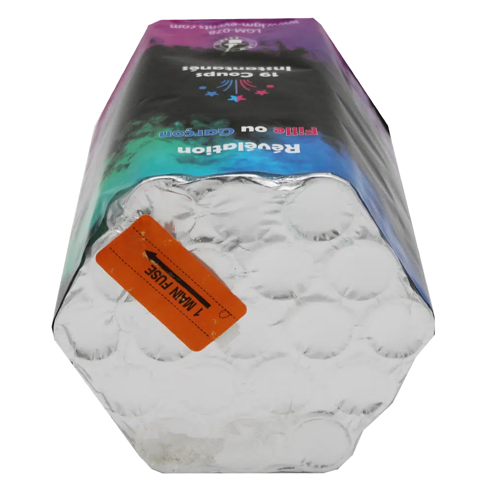 Compact tir droit Gender Reveal 19 départs 30mm boy or girl