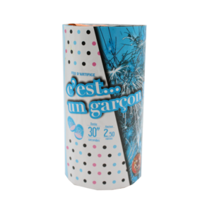 Fontaine d'extérieur Gender Reveal Boy garçon bleu 30 secondes