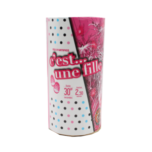 Fontaine d'extérieur Gender Reveal Girl fille rose 30 secondes